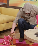 135.jpg