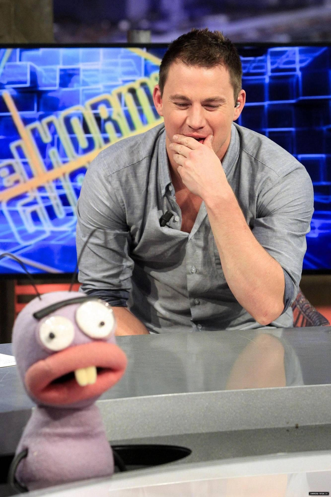 114.jpg