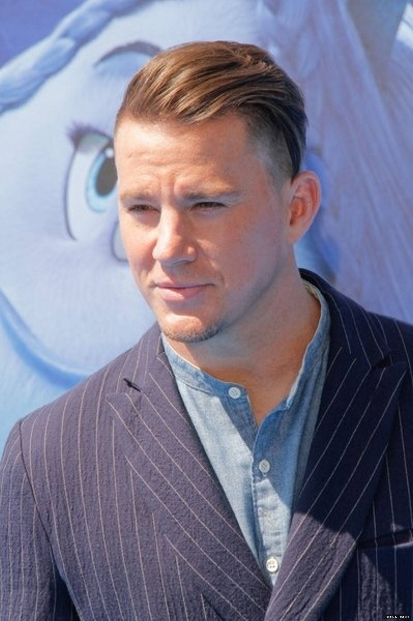 173.jpg