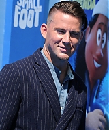 188.jpg