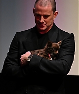 Filename=0291.jpg
Filesize=709KiB
Dimensions=1333x2000
Date added=Oct 15, 2025 0291.jpg