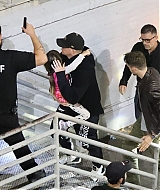 178.jpg