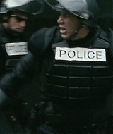 176.jpg