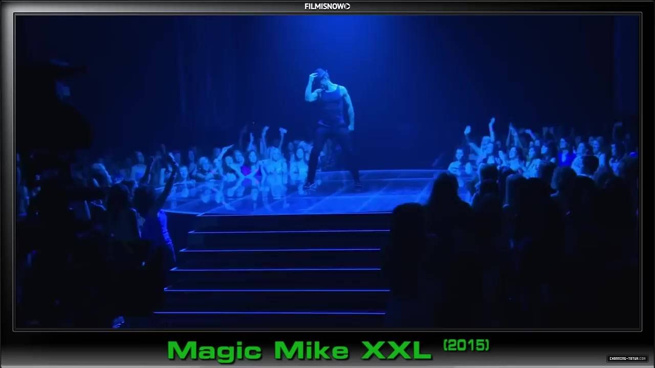 230.jpg
