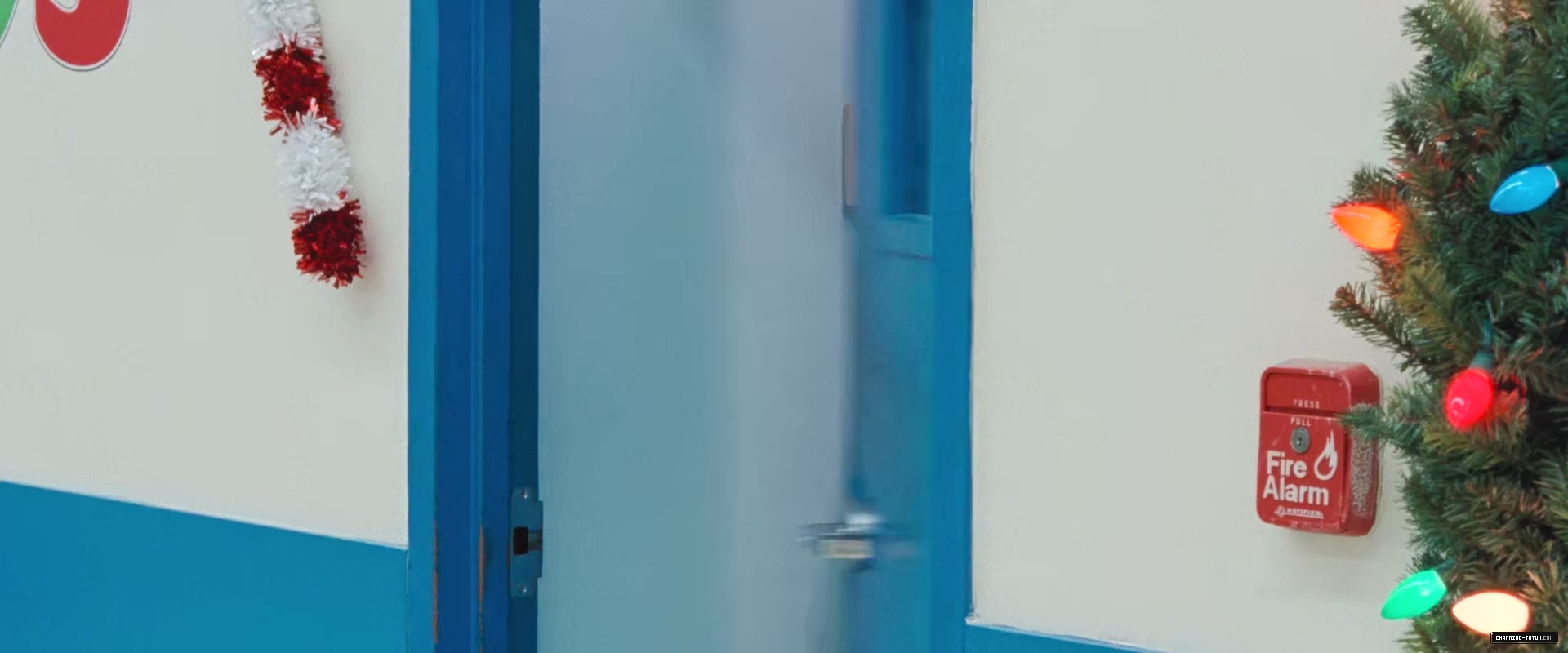 2864.jpg