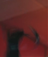 2741.jpg