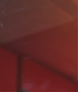 2742.jpg