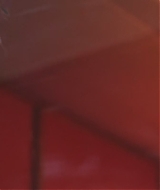 2743.jpg
