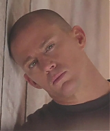 397.jpg