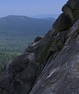 590.jpg